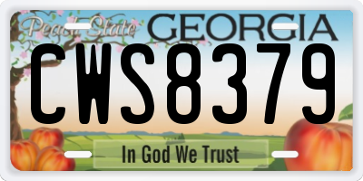 GA license plate CWS8379
