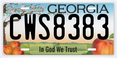 GA license plate CWS8383
