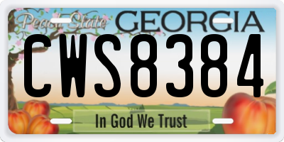 GA license plate CWS8384