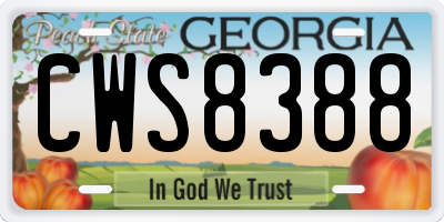 GA license plate CWS8388