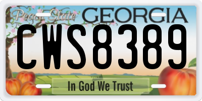 GA license plate CWS8389