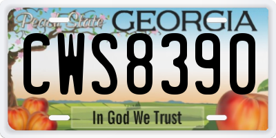GA license plate CWS8390