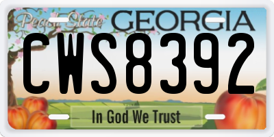GA license plate CWS8392