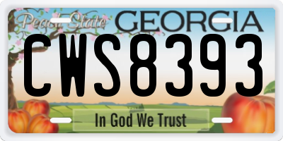 GA license plate CWS8393