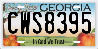 GA license plate CWS8395