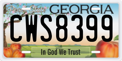GA license plate CWS8399