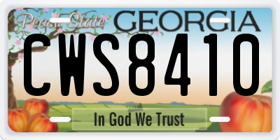 GA license plate CWS8410