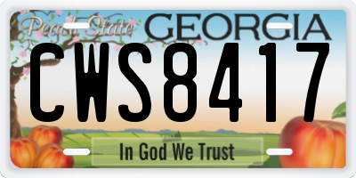 GA license plate CWS8417