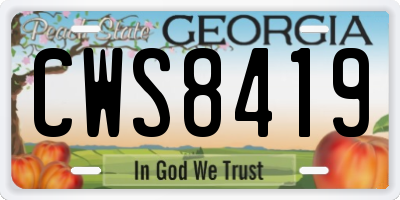 GA license plate CWS8419