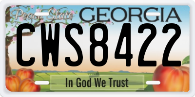 GA license plate CWS8422