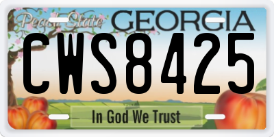 GA license plate CWS8425