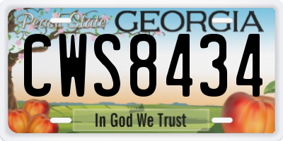 GA license plate CWS8434