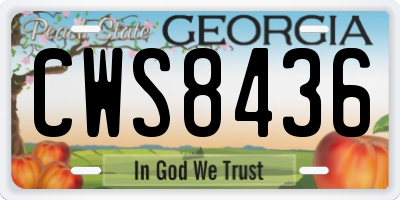 GA license plate CWS8436