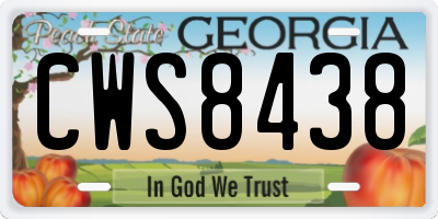 GA license plate CWS8438