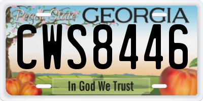 GA license plate CWS8446