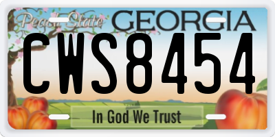 GA license plate CWS8454