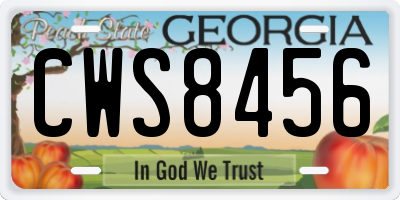 GA license plate CWS8456