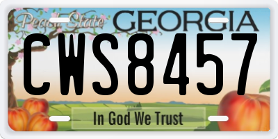 GA license plate CWS8457