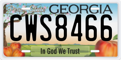 GA license plate CWS8466