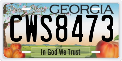 GA license plate CWS8473