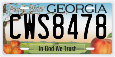 GA license plate CWS8478
