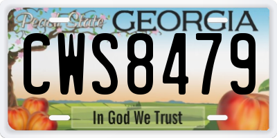 GA license plate CWS8479