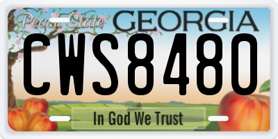 GA license plate CWS8480