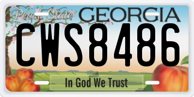 GA license plate CWS8486