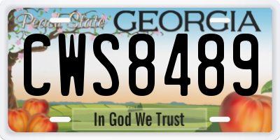 GA license plate CWS8489