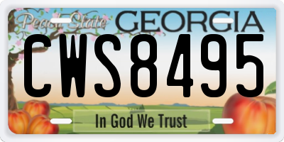 GA license plate CWS8495