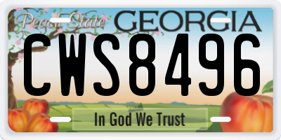 GA license plate CWS8496