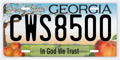 GA license plate CWS8500