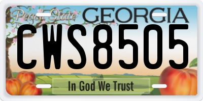 GA license plate CWS8505
