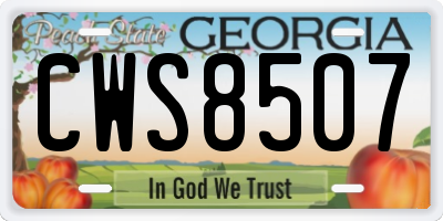 GA license plate CWS8507