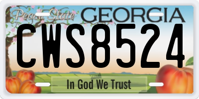 GA license plate CWS8524