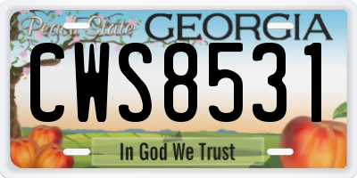 GA license plate CWS8531