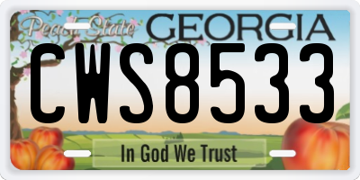 GA license plate CWS8533