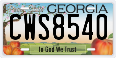 GA license plate CWS8540