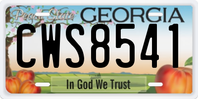 GA license plate CWS8541