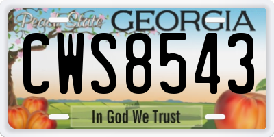 GA license plate CWS8543