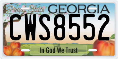GA license plate CWS8552