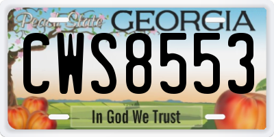 GA license plate CWS8553