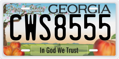 GA license plate CWS8555
