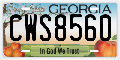 GA license plate CWS8560