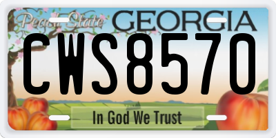 GA license plate CWS8570