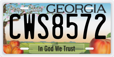 GA license plate CWS8572