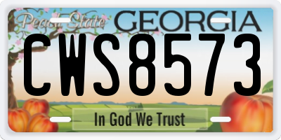 GA license plate CWS8573