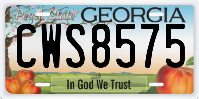 GA license plate CWS8575