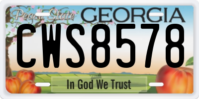 GA license plate CWS8578