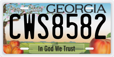 GA license plate CWS8582